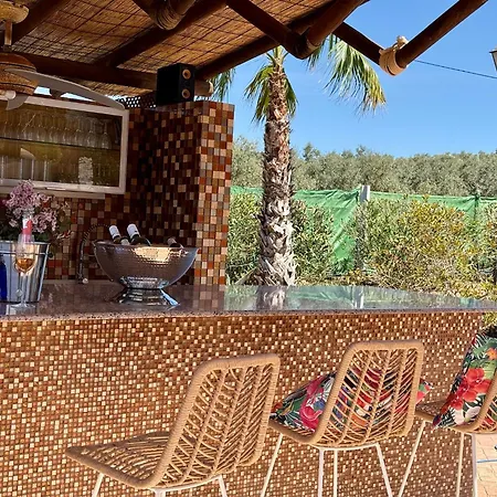 New! Your Ultimate Luxury With 11br, Pool, Jacuzzi, Gym And Sauna Just 30 Minutes From Malaga! Villanueva del Rosario
