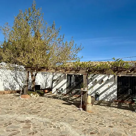 New! Your Ultimate Luxury With 11br, Pool, Jacuzzi, Gym And Sauna Just 30 Minutes From Malaga! Willa *