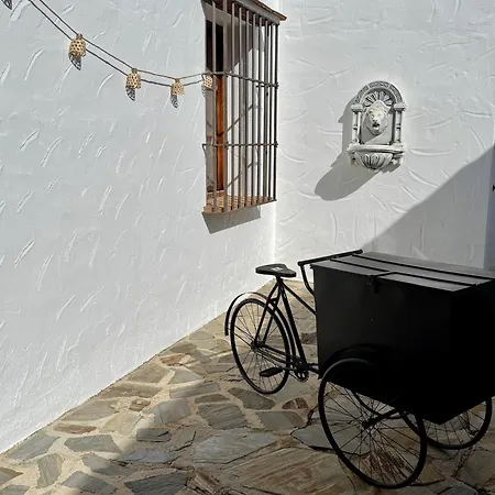 New! Your Ultimate Luxury With 11br, Pool, Jacuzzi, Gym And Sauna Just 30 Minutes From Malaga! Villa